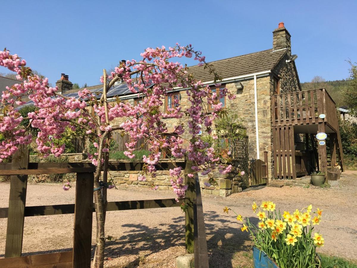 Tunnel Cottages At Blaen-Nant-Y-Groes Farm Aberdare Esterno foto