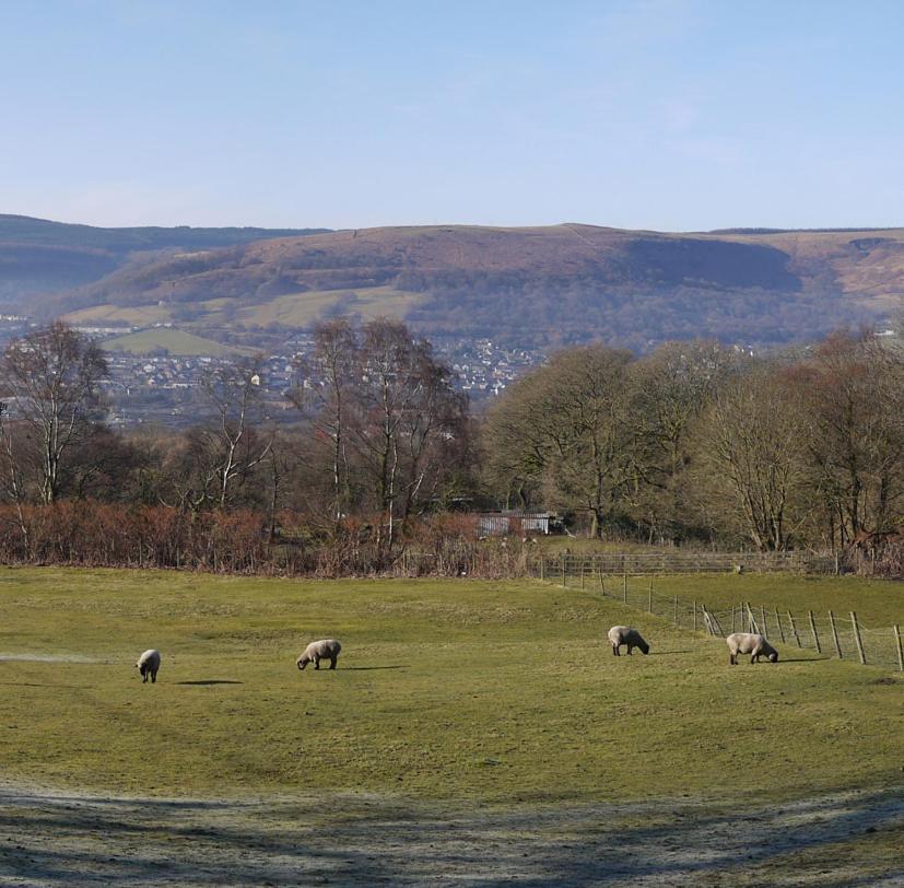 Tunnel Cottages At Blaen-Nant-Y-Groes Farm Aberdare Esterno foto