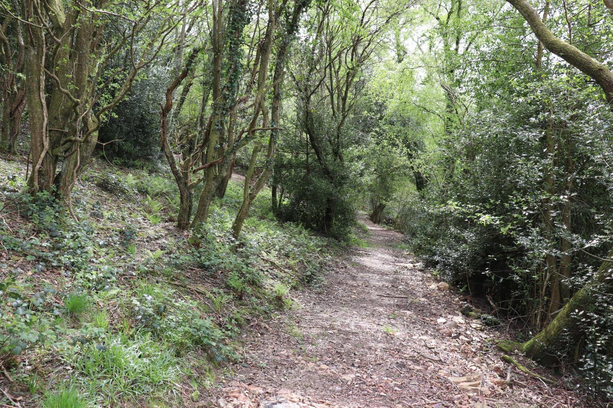 Tunnel Cottages At Blaen-Nant-Y-Groes Farm Aberdare Esterno foto